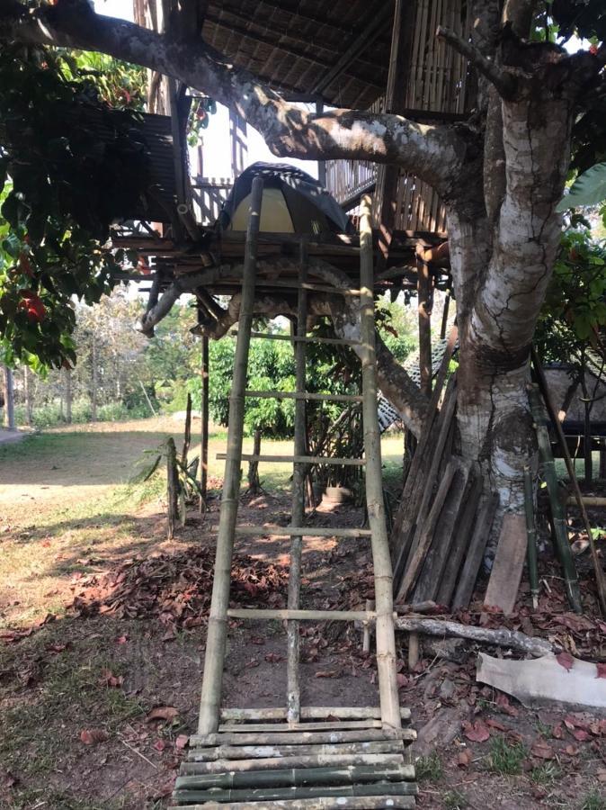 Amando_Tent Hotell Phayao Exteriör bild