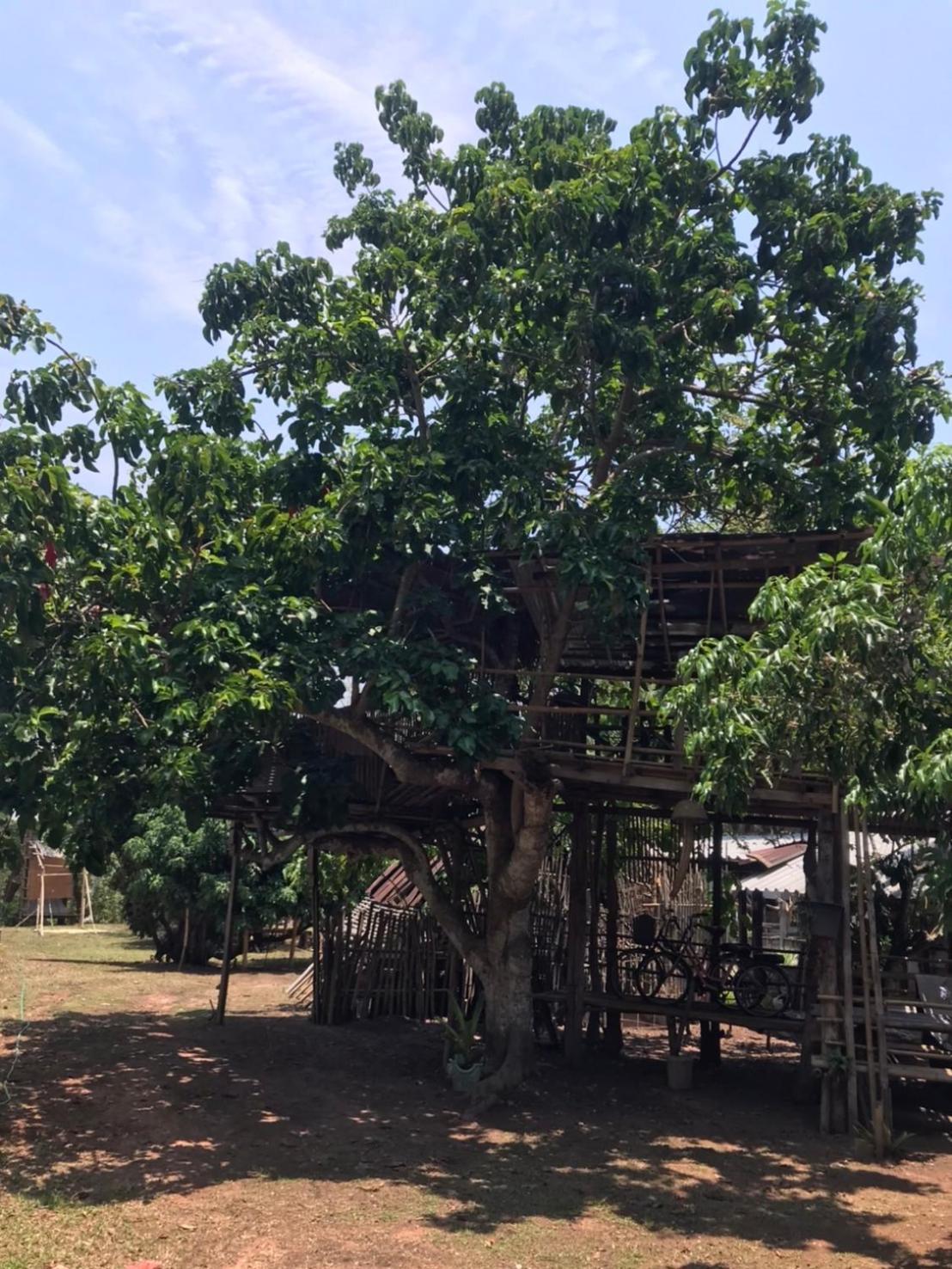 Amando_Tent Hotell Phayao Exteriör bild